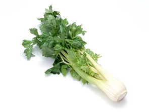 东莞市恒发农副产品配送中心 构建高效、安全的农副产品供应链