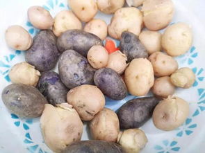 对口扶贫结硕果 特色产品展新篇——全国扶贫基地农副产品集中展销活动纪实