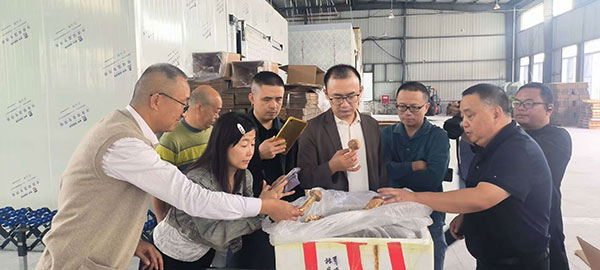用“竹”优势、强“竹”经济 ——看天全如何在竹产业链上“做文章”
